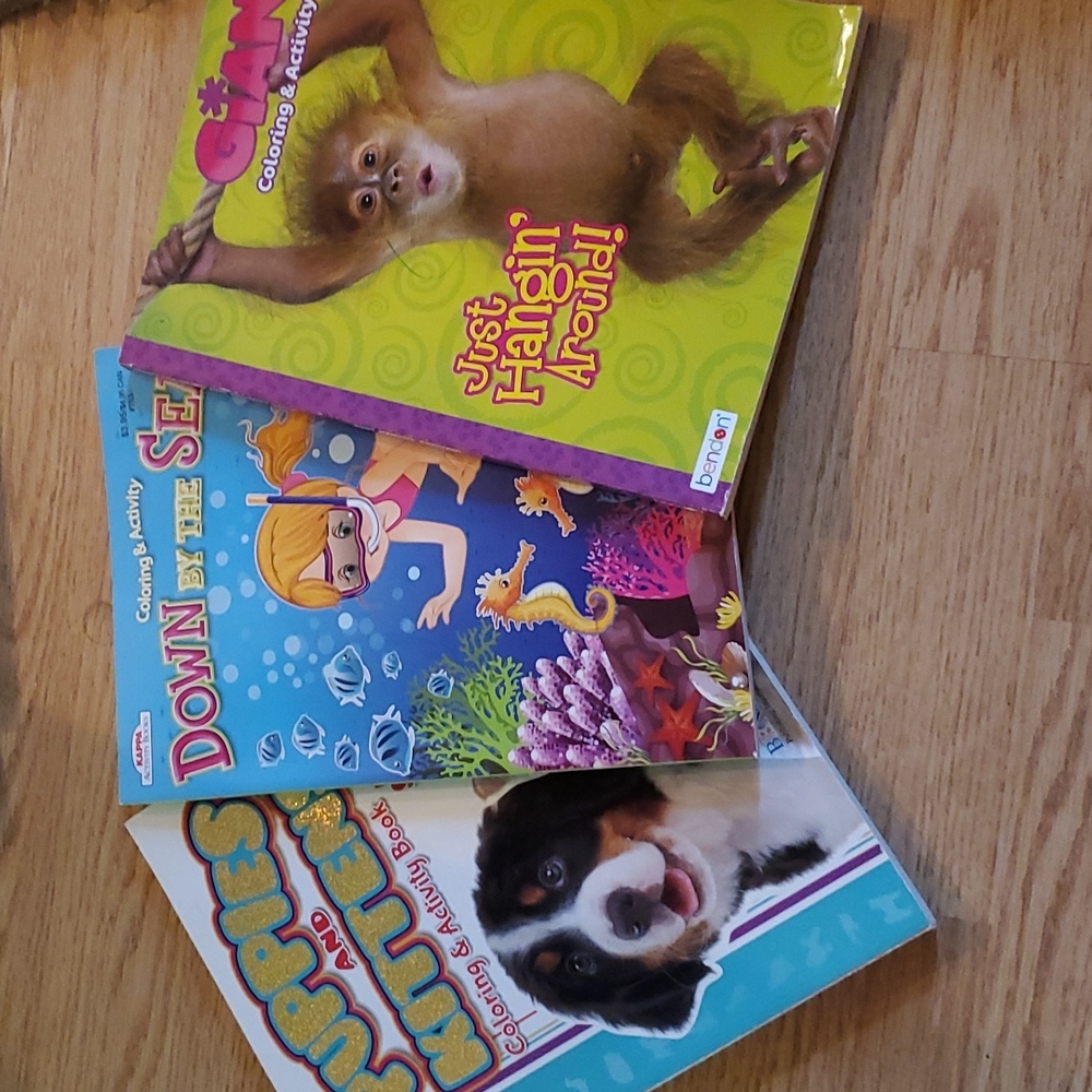 Set of 3 coloring books